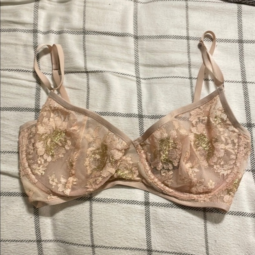 Taryn Winters pink and gold lace bra 34DD